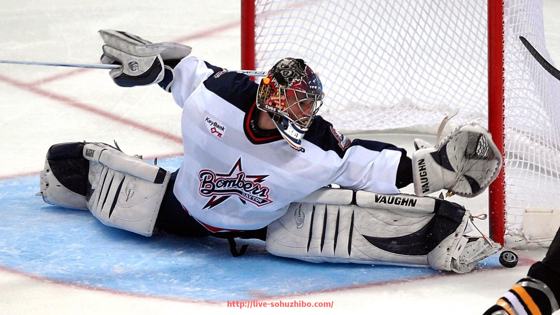 搜狐体育直播-拉力健身器材在手臂肌肉训练中的应用及效果评估