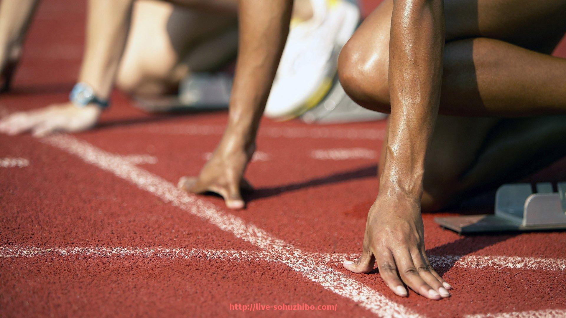 搜狐体育直播-欧洲冠军联赛连冠球队数据对比与历史回顾